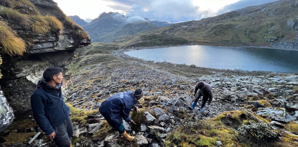 WhatsApp Image 2025-08-27 at 8.35.29 PM